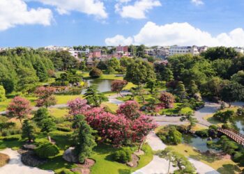 粉紅花海綻放 成美文化園紫薇花季盛開　前世情人父女同行免費