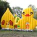 漾新聞|黃色小鴨氣墊城堡嘉年華9/24登場 立委賴瑞隆邀親子同樂