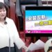 漾新聞|亞灣區「換殼」卻不「長大」陳麗娜要求市府建設不能花錢只畫餅