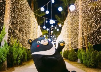 漾新聞|高雄聖誕必玩景點 高雄熊帶你聖誕輕旅行