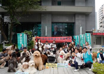 漾新聞|郭倍宏總部開「打狗趴」台灣泰迪大貴賓家族力挺郭倍宏進國會