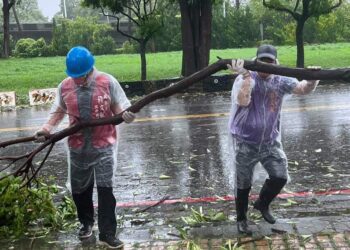 漾新聞|清除颱風路樹橫阻交通 陳麗娜感謝里長志工「有您真好！」