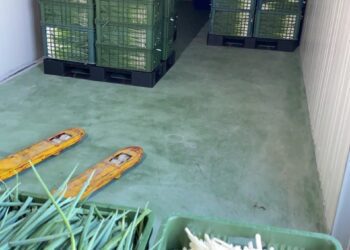 蔥價飆高想吃不敢買！？ 這家蔥油醬不只平價　新鮮美味更吃的到