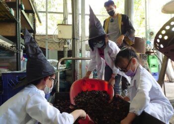 漾新聞|從廢棄物處理到智慧農業 高市青年局輔導18家新創團隊參展