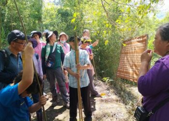 漾新聞|六龜圖書分館辦寶來59特區生態步道探索 邀讀者體驗無具野炊