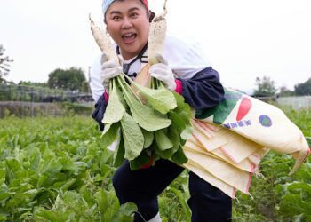 《瓜田冠軍的誕生》農村遊學挑戰升級！ 藝人挑戰750根白玉蘿蔔採收