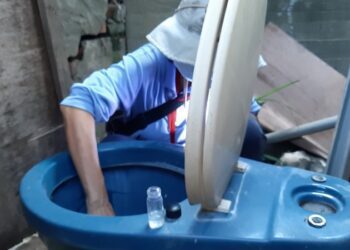 高雄市新增2例登革熱確定病例 大社區個案感染源待釐清