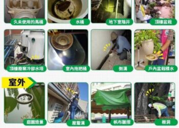 高雄市本土登革熱+55 三民及小港最多