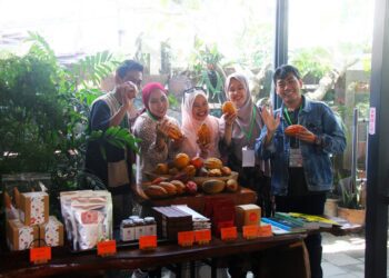 屏東巧克力比較好吃　從屏北地方創生看穆斯林旅遊創生