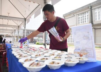 2023屏東好客米食節10/21、21高樹玩水嗑好米