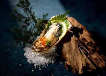 爸王級海鮮饗宴 「藝奇」款待牡蠣雙味佐鮭魚卵 「阪前」加碼日本廣島蠔