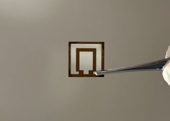 嶺大跨學科學院學者聯合研發嶄新策略 實現高效穩定反式鈣鈦礦太陽能電池 成果發表於國際最頂級學術期刊《自然》