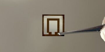 嶺大跨學科學院學者聯合研發嶄新策略 實現高效穩定反式鈣鈦礦太陽能電池 成果發表於國際最頂級學術期刊《自然》