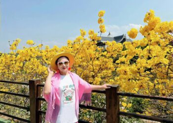 白冰冰《誠懇逗陣》遊峨眉湖賞風鈴木 《歌聲永遠陪伴你》唱出心聲哽咽憶女兒