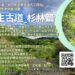 漾新聞|高市圖杉林分館辦杉林六龜湯姆生古道健行活動