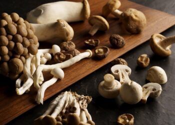 灃食發行蔬食季刊 倡議好好吃飯八分飽理念