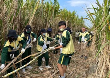 漾新聞|台糖與高餐大產學合作台灣甘蔗蘭姆酒奪世界烈酒大賽銀牌