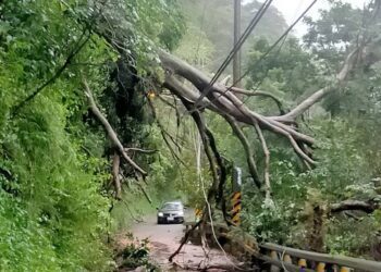 漾新聞|杜蘇芮颱風豪雨造成高雄山區620戶停電 台電搶修中