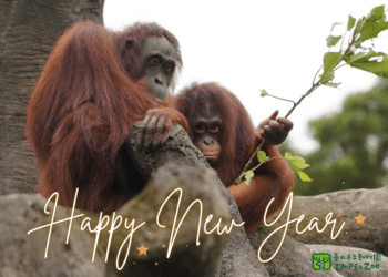 元旦尋找110「園蛋」　陪動物一起吃早餐