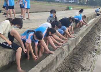 漾新聞|2024開學第一天下田插秧 翁園國小不一樣的畢業課體會感恩惜福