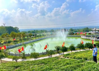 茶的一生，活過兩次。一次是在田間，一次是在杯中