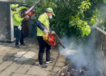 高雄市今日本土登革熱+3 鳳山區職場2例 阿蓮區確診案有台南活動史