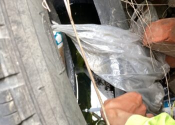 高雄市今日本土登革熱+1 阿蓮區擴大疫調採檢