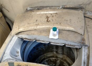 高雄市本土登革熱+45 學齡前幼兒為流感高風險族群