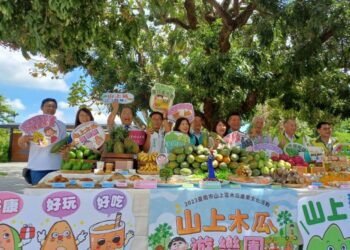 南市山上木瓜節歡樂登場！木瓜遊樂園等你來玩