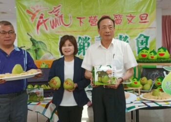塑造南市下營優質文旦品牌 特等獎重賞3萬元獎金！