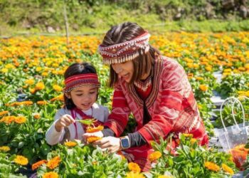 竹縣部落輕旅行遊程甄選 得獎團隊出爐！