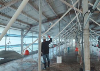 進入好發季節  南市動保處啟動禽流感強化防疫措施