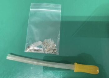 假跌倒真藏毒 毒蟲難逃警鷹眼認栽