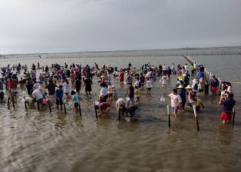 2023七股海鮮節首場體驗活動熱鬧登場，佳里警分局加強維護人車安全，獲好評。