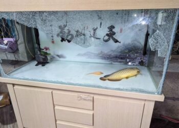 惡徒半夜衝撞民宅鐵門砸毀屋內陳設 學甲警速逮3嫌送辦