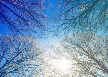 迎接秋季 打造舒適內在美 女性內衣選擇關鍵指南