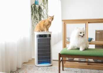 美國熱賣潮席捲台灣！吸毛大師 SoleusAir 首登台北寵物展 99.9%除毛力征服亞洲毛爸媽