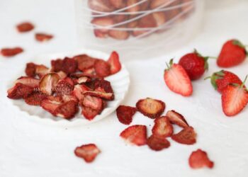 臺灣果乾品牌推薦 嚴選天然果茶與手工果乾 品味純粹自然