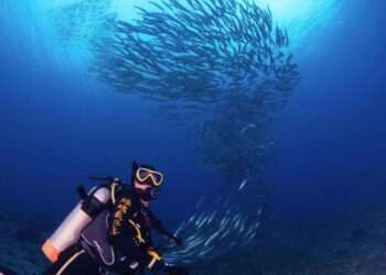 小琉球潛水住宿推薦 暢遊小琉球熱門潛點、與海龜共舞潛水體驗