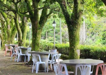 陽明山竹子湖美食推薦 陽明山賞花必訪景觀餐廳季節限定花景