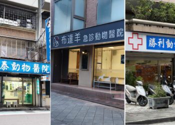 從陪伴走向照護 寵物醫療逐步融入現代生活日常