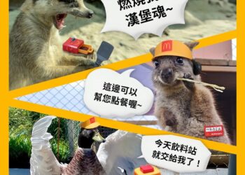 星夢森林劇場攜手麥當勞 快樂送動物夥伴登場