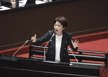 綠營女戰神翻車？陳亭妃遭控護航親戚「改電表竊電」　幕僚遭指介入台電關說追償款