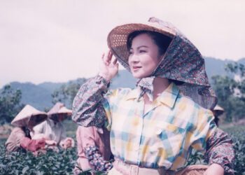 〈阿母哪會攏無睏〉歌詞藏洋蔥！白冰冰淚揭母愛真相