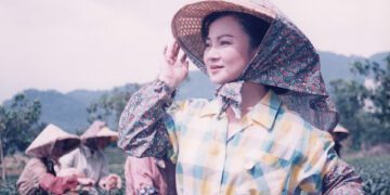 〈阿母哪會攏無睏〉歌詞藏洋蔥！白冰冰淚揭母愛真相