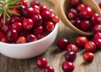 現代生活型態下的私密健康新趨勢：聚焦「A 型原花 青素」與「高吸收鋅」營養補充