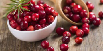 現代生活型態下的私密健康新趨勢：聚焦「A 型原花 青素」與「高吸收鋅」營養補充