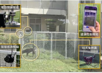 農業部研發智慧誘捕遊蕩犬工具 保障第一線人員安全