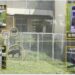 農業部研發智慧誘捕遊蕩犬工具 保障第一線人員安全