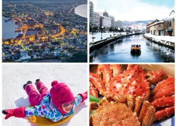 momo搶攻2026旅遊商機！WBC保證席、北海道戲雪、三大蟹吃到飽免3萬